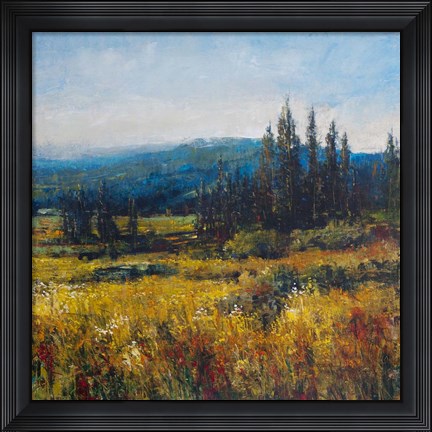 Framed Pacific Northwest I Print
