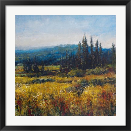 Framed Pacific Northwest I Print