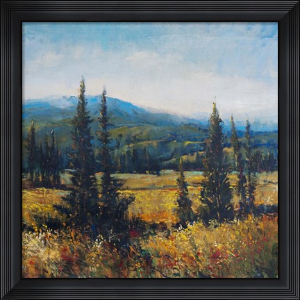Framed Pacific Northwest II Print