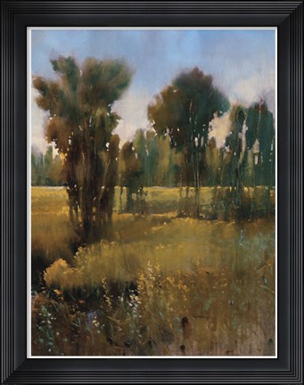 Framed Sunkissed Field II Print