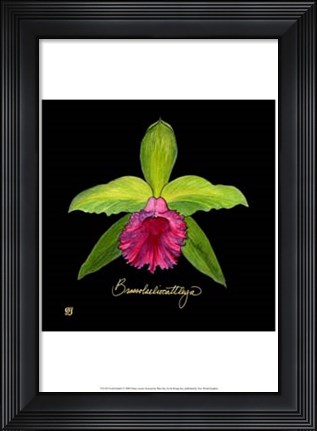 Framed Vivid Orchid I Print