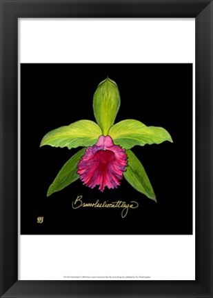 Framed Vivid Orchid I Print