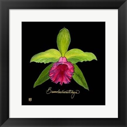 Framed Vivid Orchid I Print