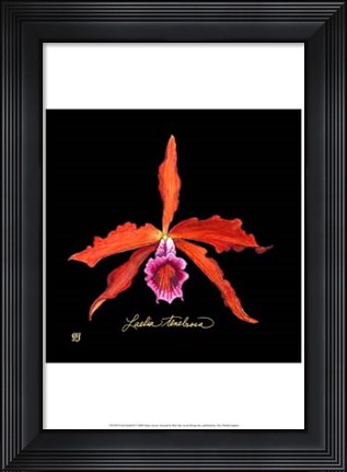 Framed Vivid Orchid II Print