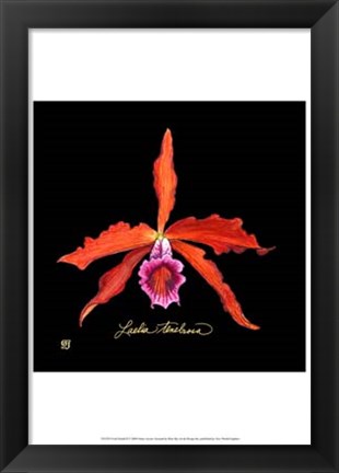 Framed Vivid Orchid II Print