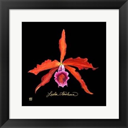 Framed Vivid Orchid II Print