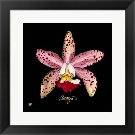 Framed Vivid Orchid III Print