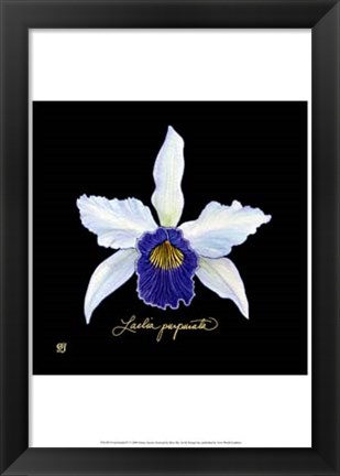 Framed Vivid Orchid IV Print