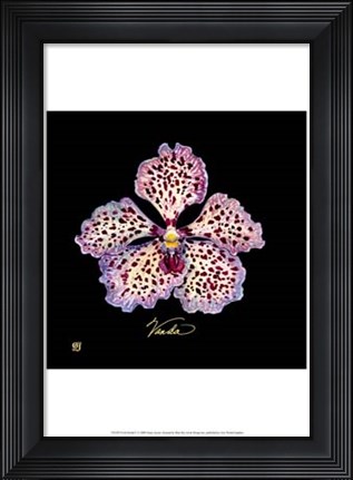 Framed Vivid Orchid V Print