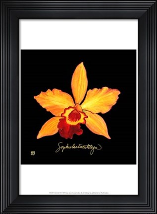 Framed Vivid Orchid VI Print