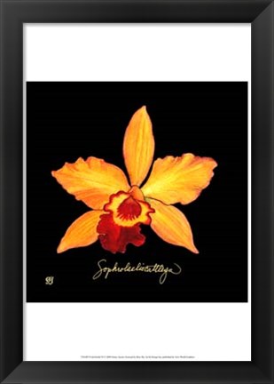 Framed Vivid Orchid VI Print