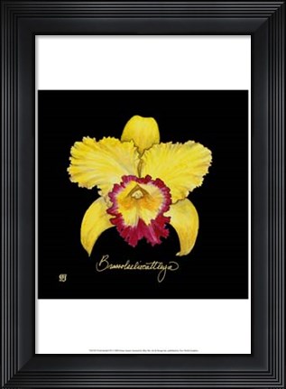 Framed Vivid Orchid VII Print