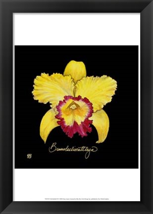 Framed Vivid Orchid VII Print