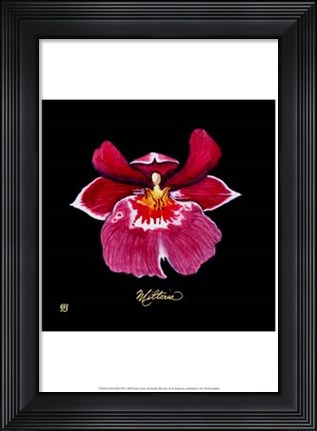 Framed Vivid Orchid VIII Print