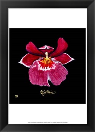 Framed Vivid Orchid VIII Print