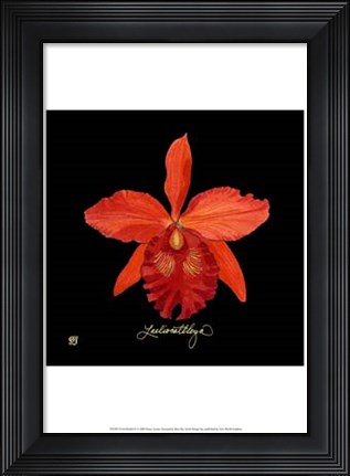 Framed Vivid Orchid IX Print