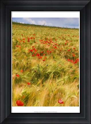 Framed Poppies in Field I Print