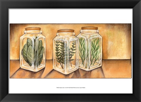 Framed Spice Jars I Print