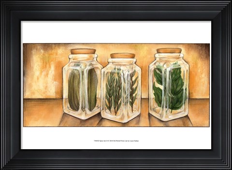 Framed Spice Jars II Print