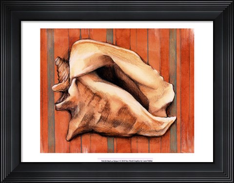 Framed Shell on Stripes I Print