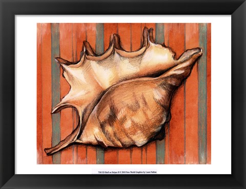 Framed Shell on Stripes II Print