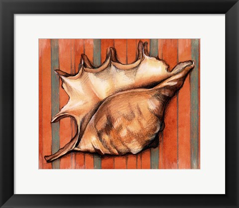 Framed Shell on Stripes II Print