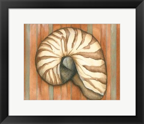 Framed Shell on Stripes IV - light Print