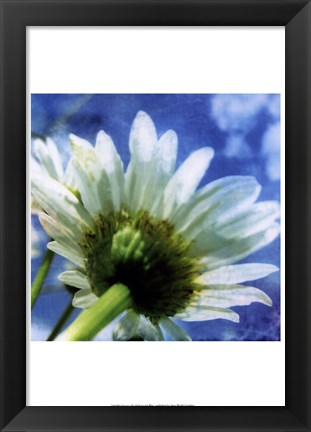 Framed Daisies I Print