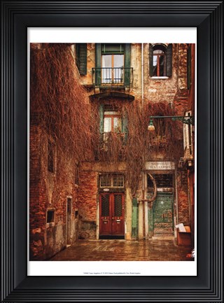 Framed Venice Snapshots IV Print