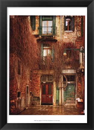 Framed Venice Snapshots IV Print