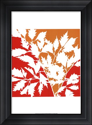 Framed Split Stem II Print