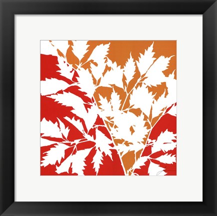 Framed Split Stem II Print
