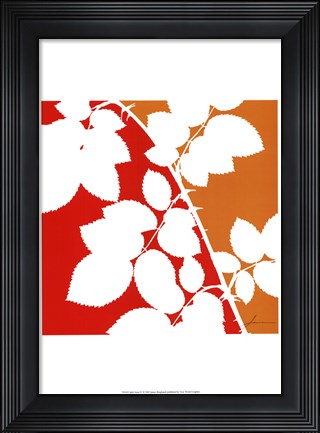 Framed Split Stem IV Print