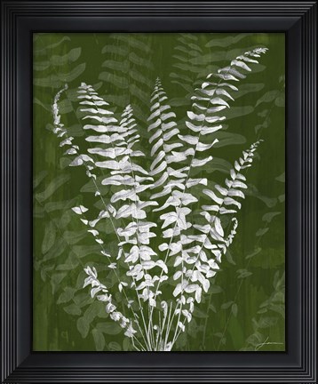 Framed Jewel Ferns I Print