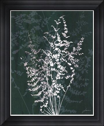 Framed Jewel Ferns II Print