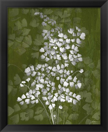 Framed Jewel Ferns III Print