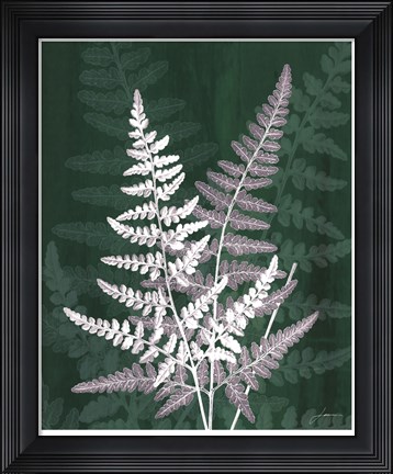 Framed Jewel Ferns IV Print