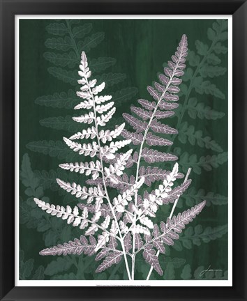Framed Jewel Ferns IV Print
