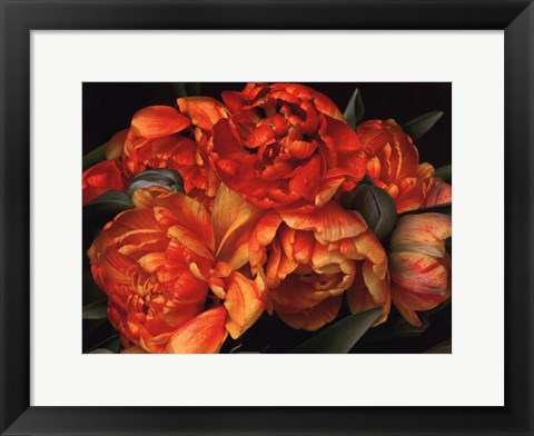 Framed Old World Tulips II Print