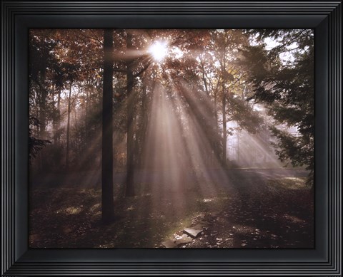 Framed New Day I Print