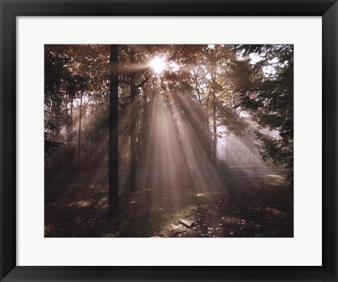 Framed New Day I Print