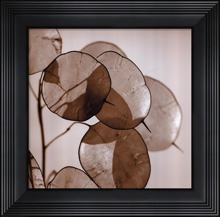 Framed Silver Dollars Print