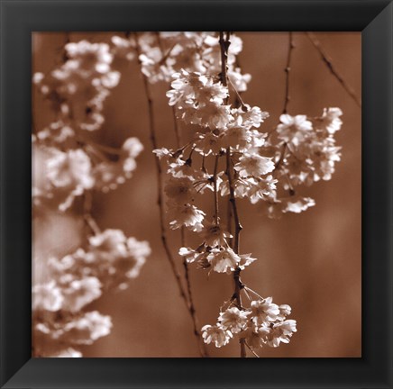 Framed Cherry Blossom Print