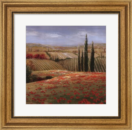 Framed Tuscan Cypress II Print