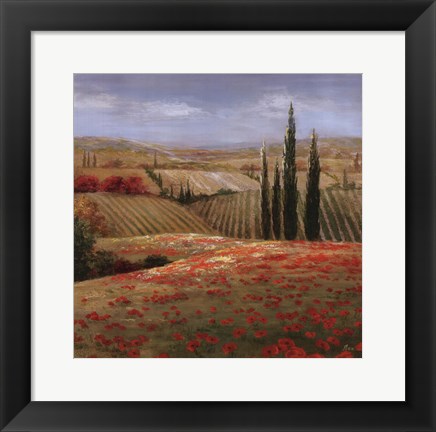 Framed Tuscan Cypress II Print