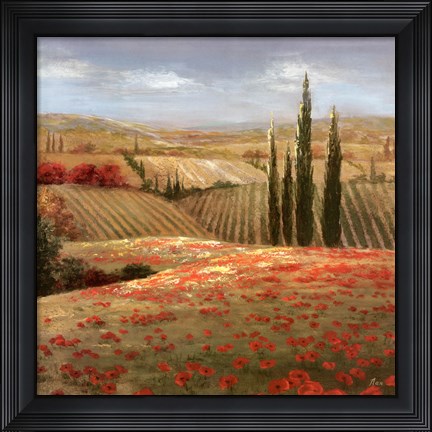 Framed Tuscan Cypress II Print