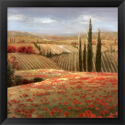 Framed Tuscan Cypress II Print