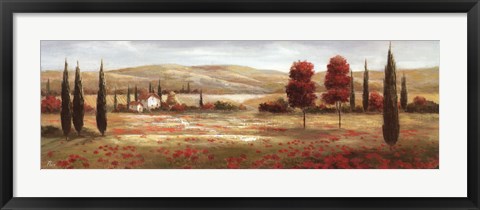 Framed Tuscan Poppies II Print