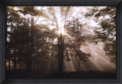 Framed New Day II Print