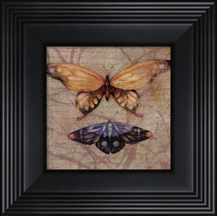 Framed Vintage Butterflies II - petite Print